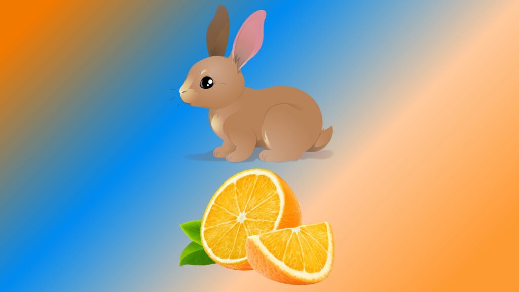 Can Rabbits Eat Oranges? Our Guide and Answers Pet Feeder Tips
