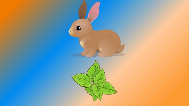 Can Rabbits Eat Peppermint? Our Answer and Guide