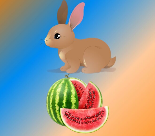 Can Rabbits Eat Watermelon? Is Watermelon Safe for Bunnies?