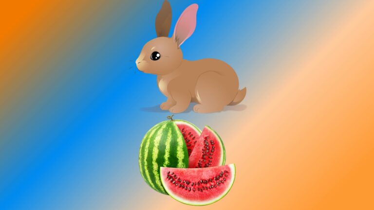 Can Rabbits Eat Watermelon? Is Watermelon Safe for Bunnies?