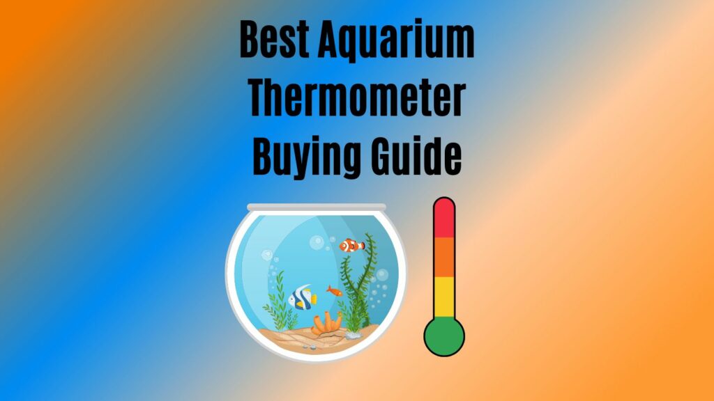 How To Choose Best Aquarium Thermometer Our Top Choices & 101 Guide