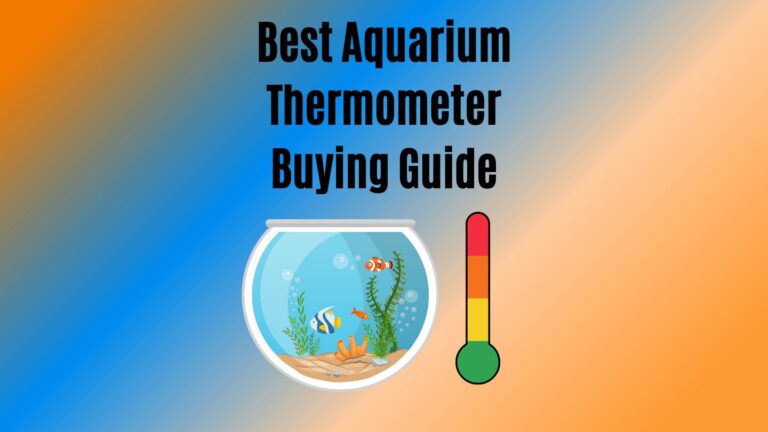 How To Choose Best Aquarium Thermometer – Our Top Choices & 101 Guide