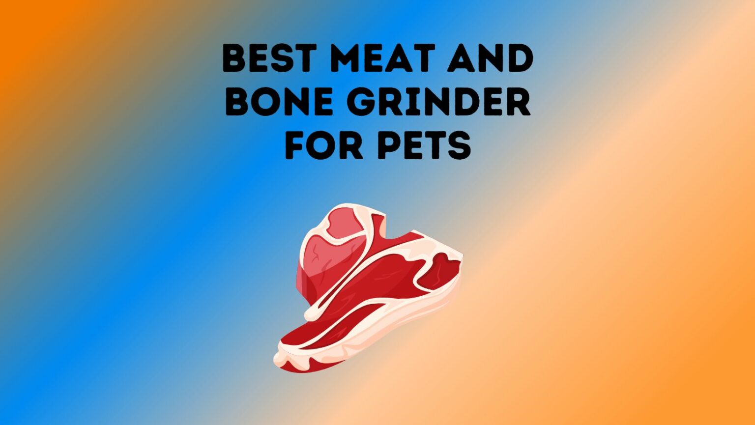 9 Best Meat and Bone Grinder For Pets Pet Feeder Tips