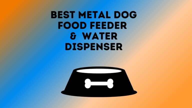 7 Best Metal Dog Food Feeders and Water Dispensers