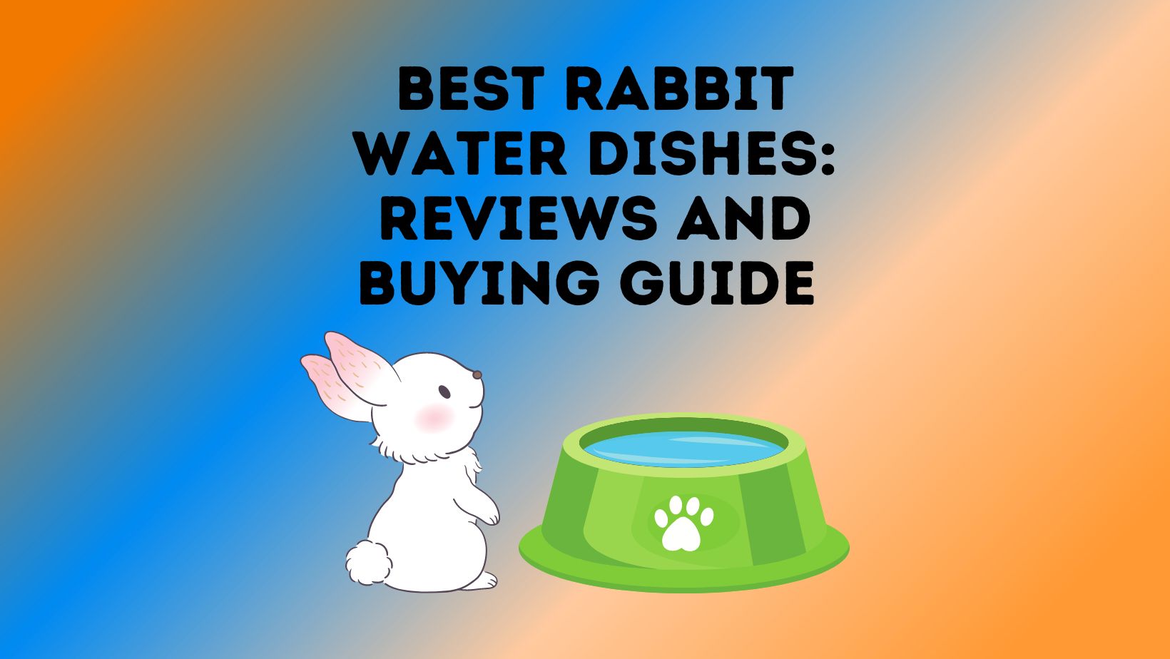 Best Rabbit Water Dishes Reviews and Buying Guide