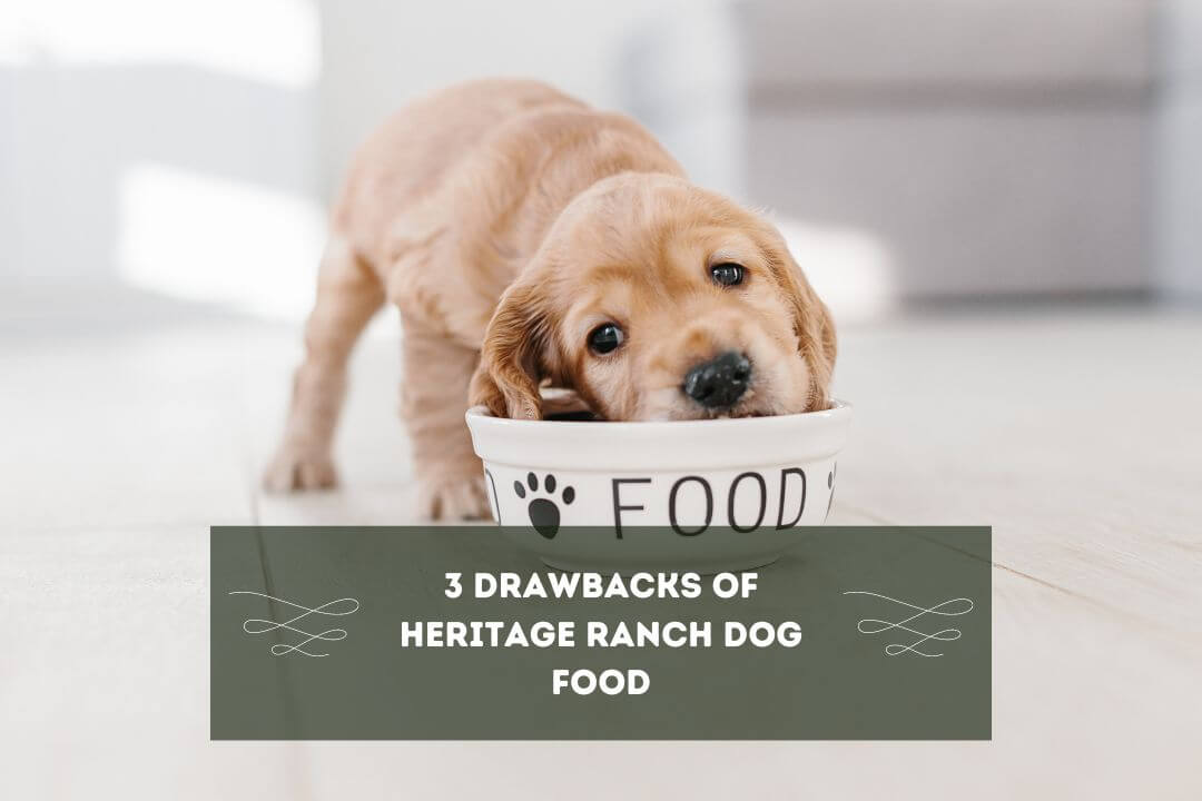 Is Heritage Ranch Dog Food Good Pet Feeder Tips