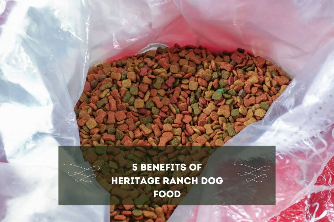 Is Heritage Ranch Dog Food Good Pet Feeder Tips