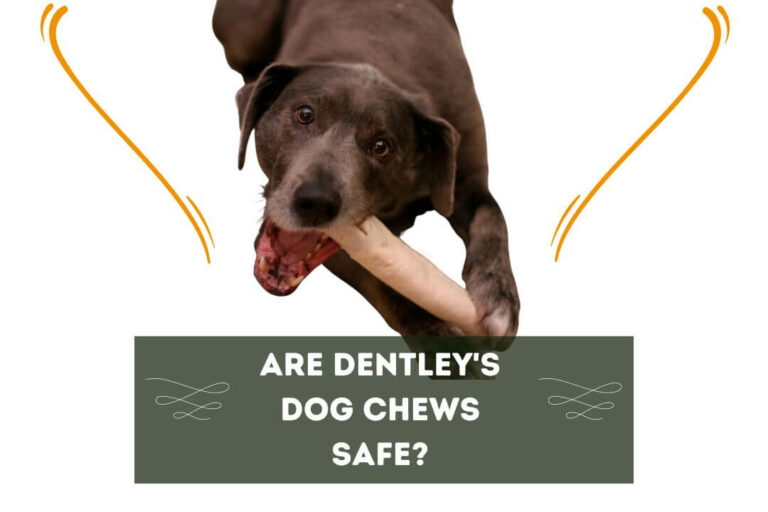 Are Dentley’s Dog Chews Safe?