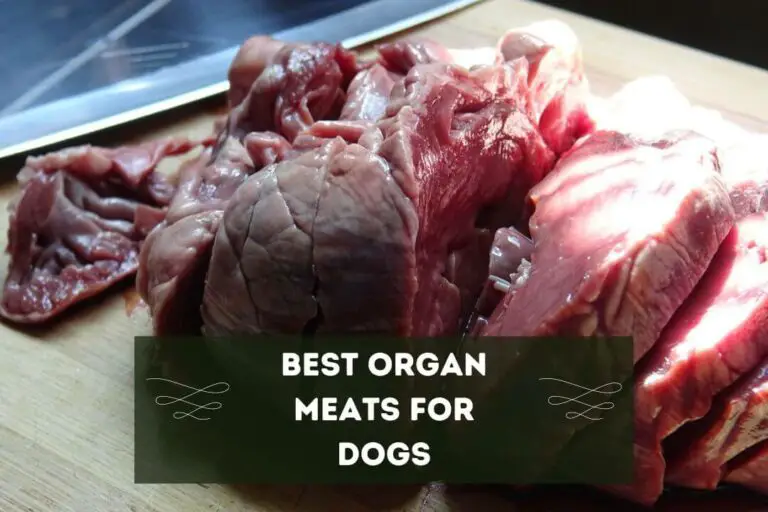 3 Best Organ Meats For Dogs: Is Organ Meat Good For Dogs