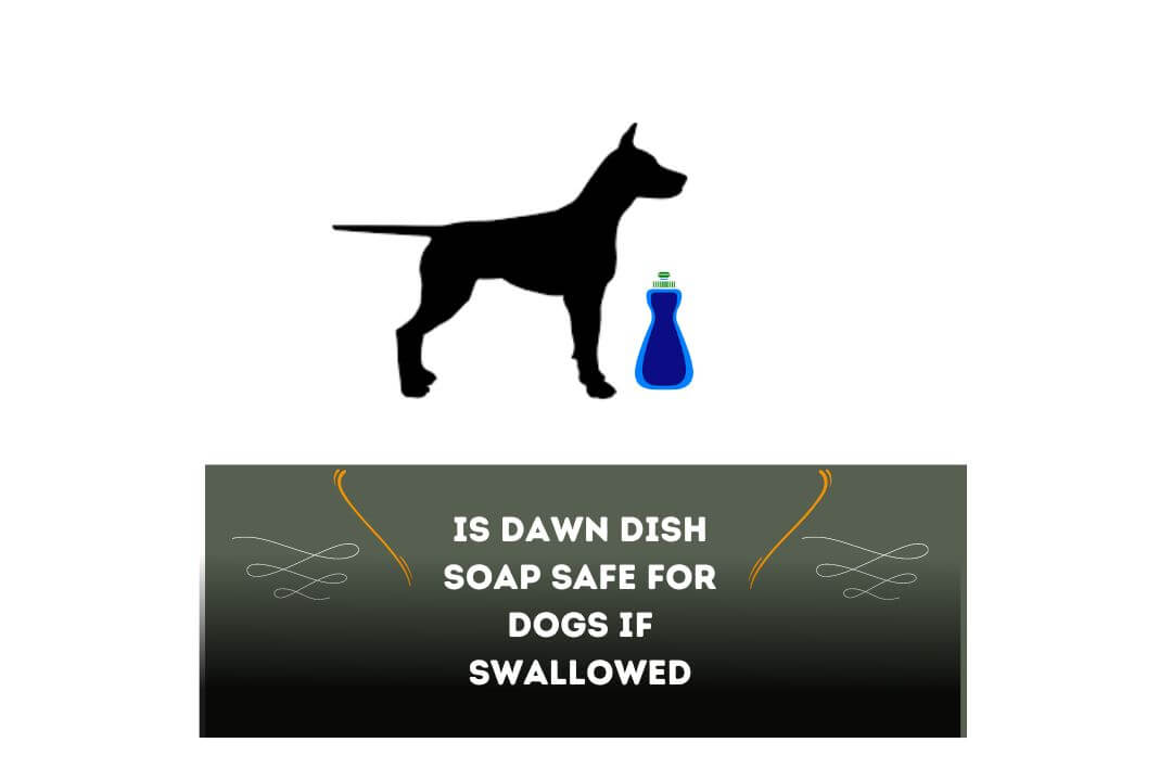 Is Dawn Dish Soap Safe for Dogs if Swallowed