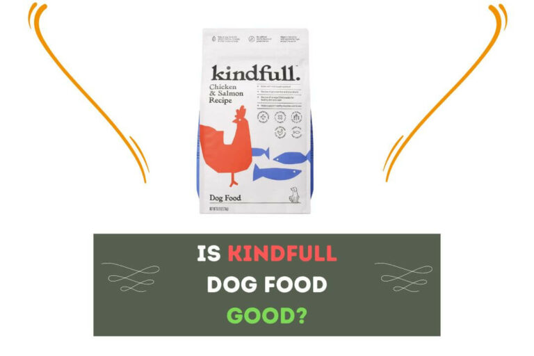 Is Kindfull Dog Food Good?