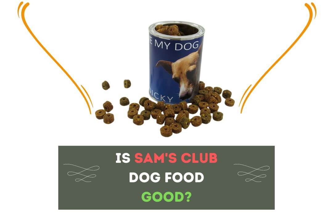 Is Sam's Club Dog Food Good