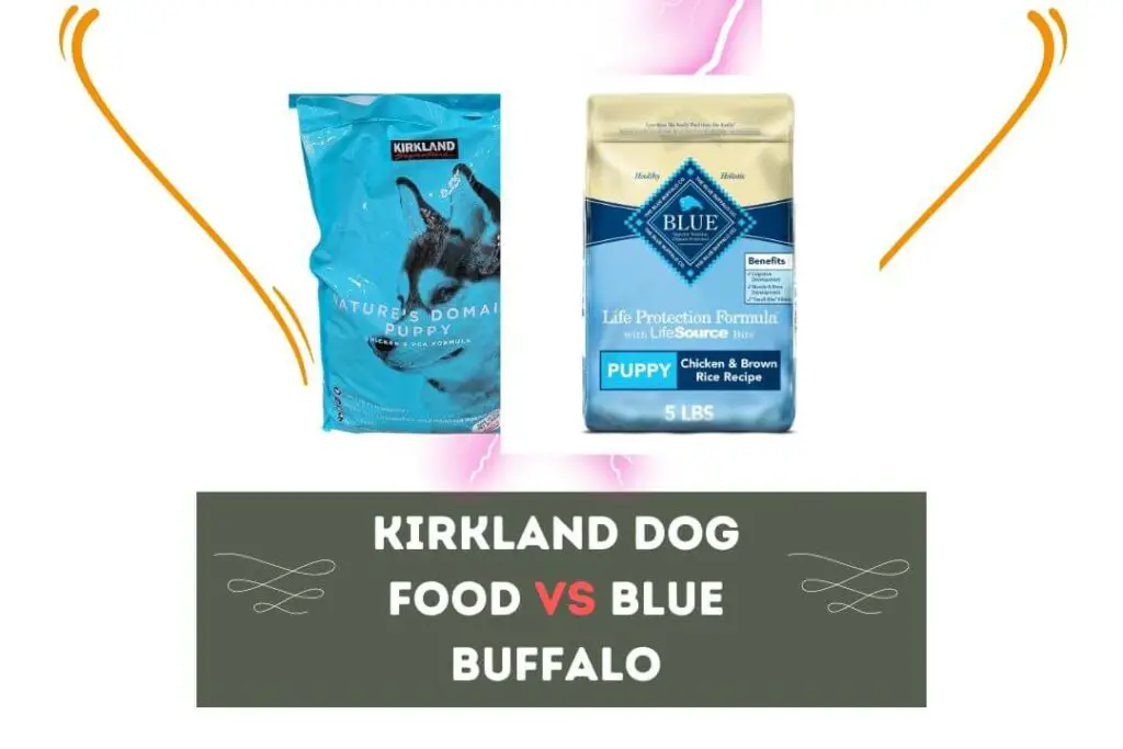 Kirkland Dog Food vs Blue Buffalo 5 Major Differences