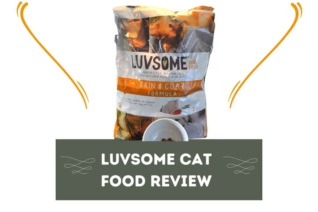 Luvsome Cat Food Review