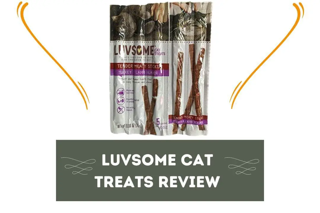 Luvsome Cat Treats Review