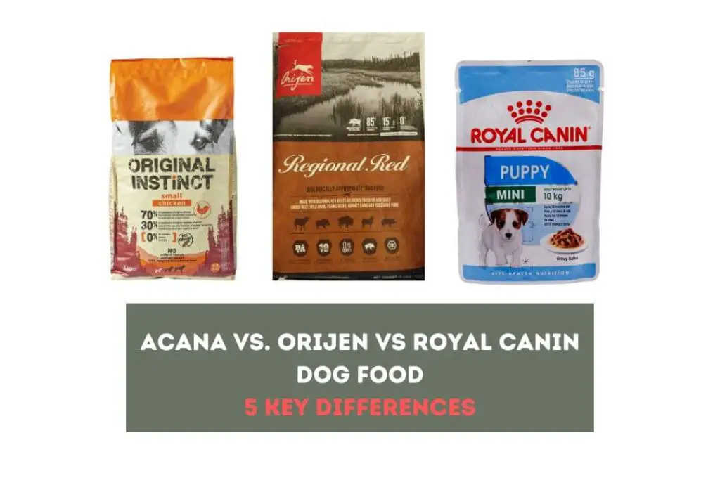 Acana vs Orijen vs Royal Canin Dog Food 5 Key Differences