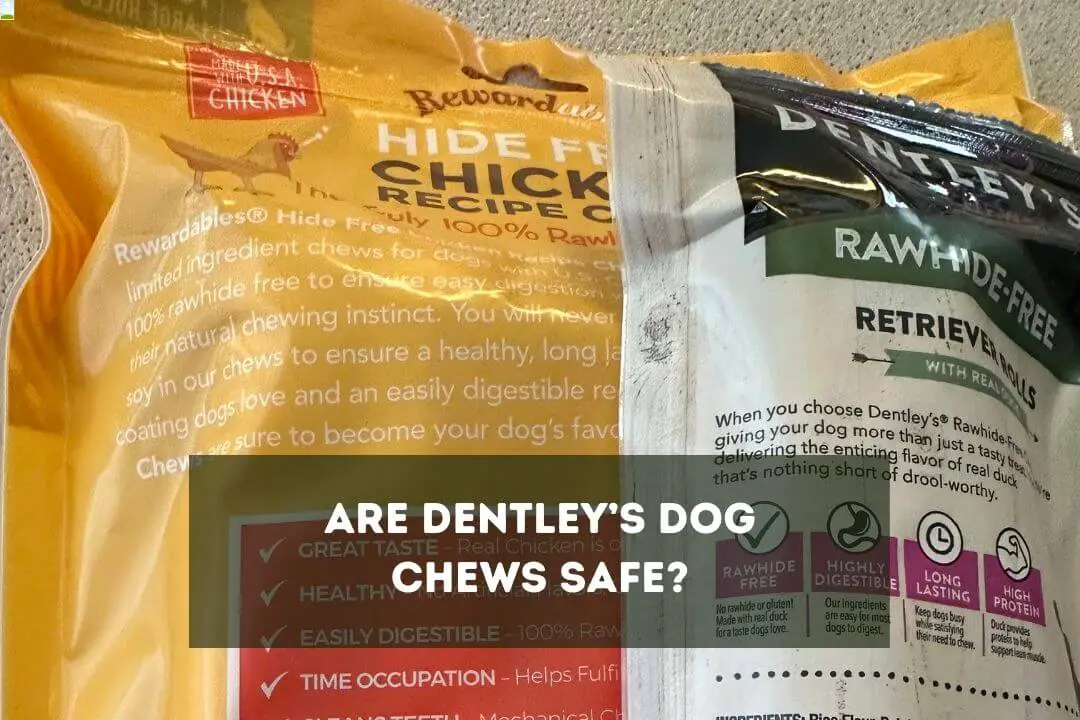 Are Dentley's Dog Chews Safe? Pet Feeder Tips