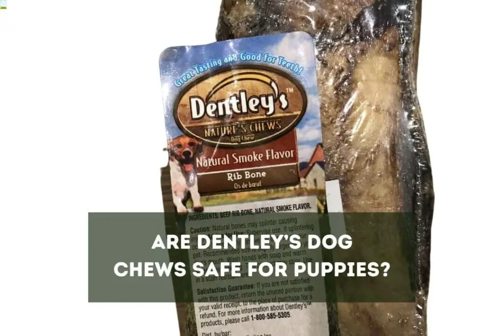 Are Dentley's Dog Chews Safe for Puppies?