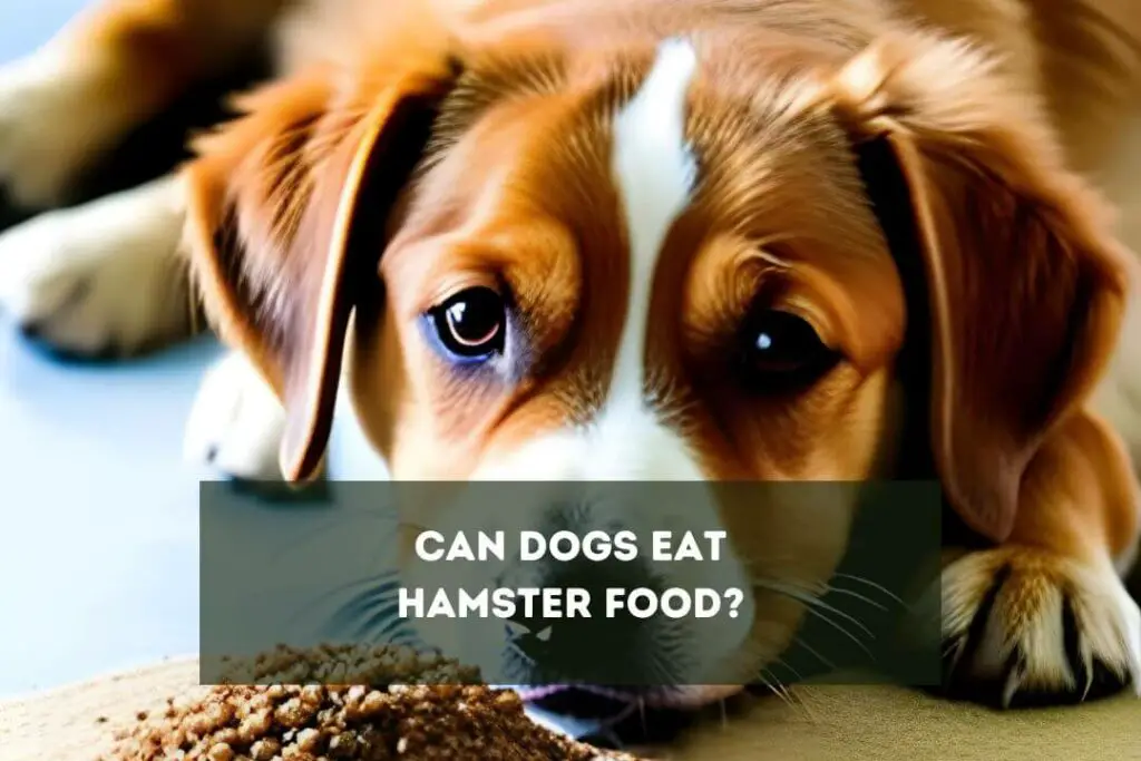 Can Dogs Eat Hamster Food