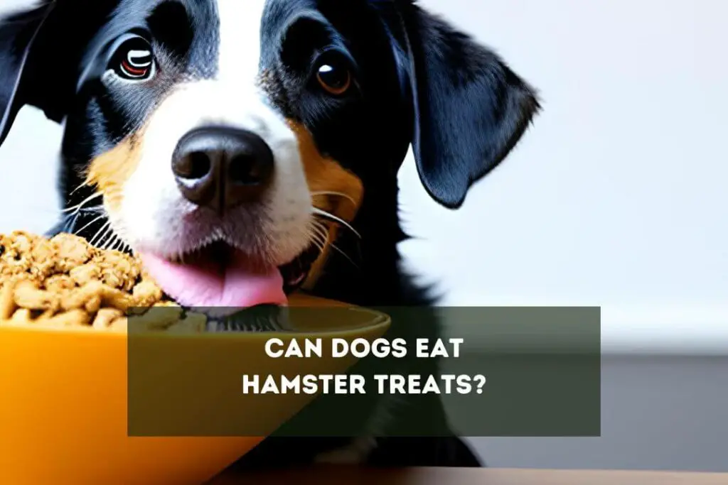 Can Dogs Eat Hamster Treats?