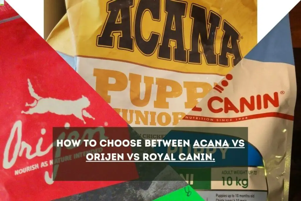 How To Choose Between Acana vs. Orijen vs Royal Canin