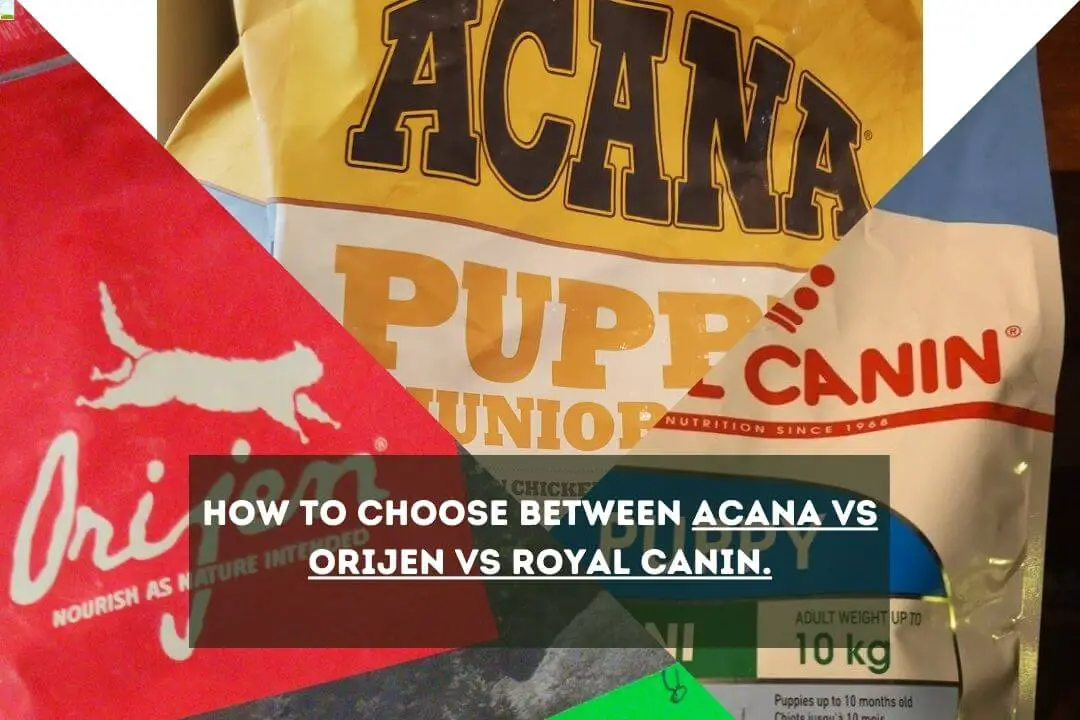 Acana vs Orijen vs Royal Canin Dog Food 5 Key Differences