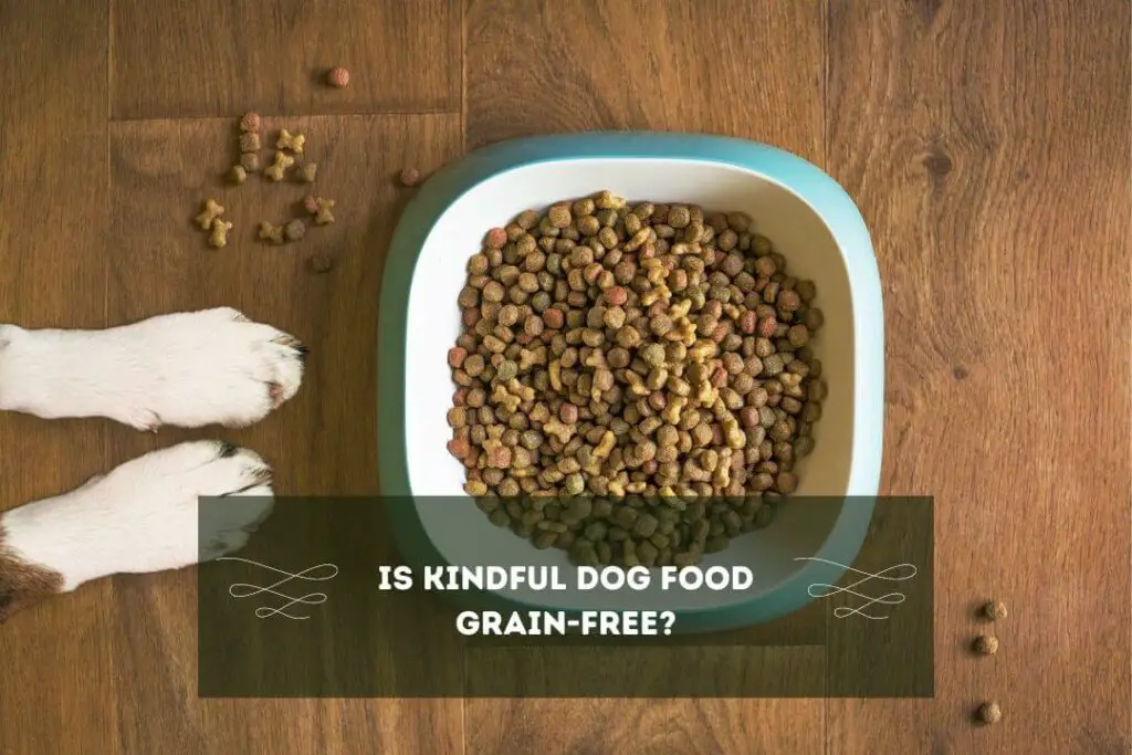 Is Kindful dog food grain-free?