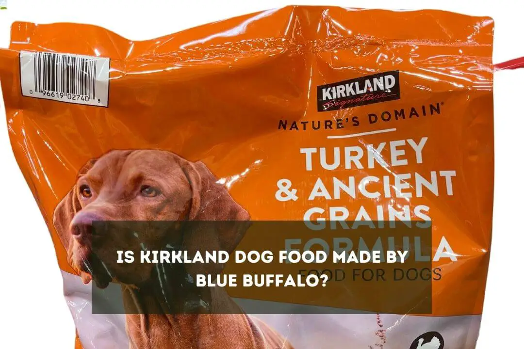 Kirkland Dog Food vs Blue Buffalo 5 Major Differences