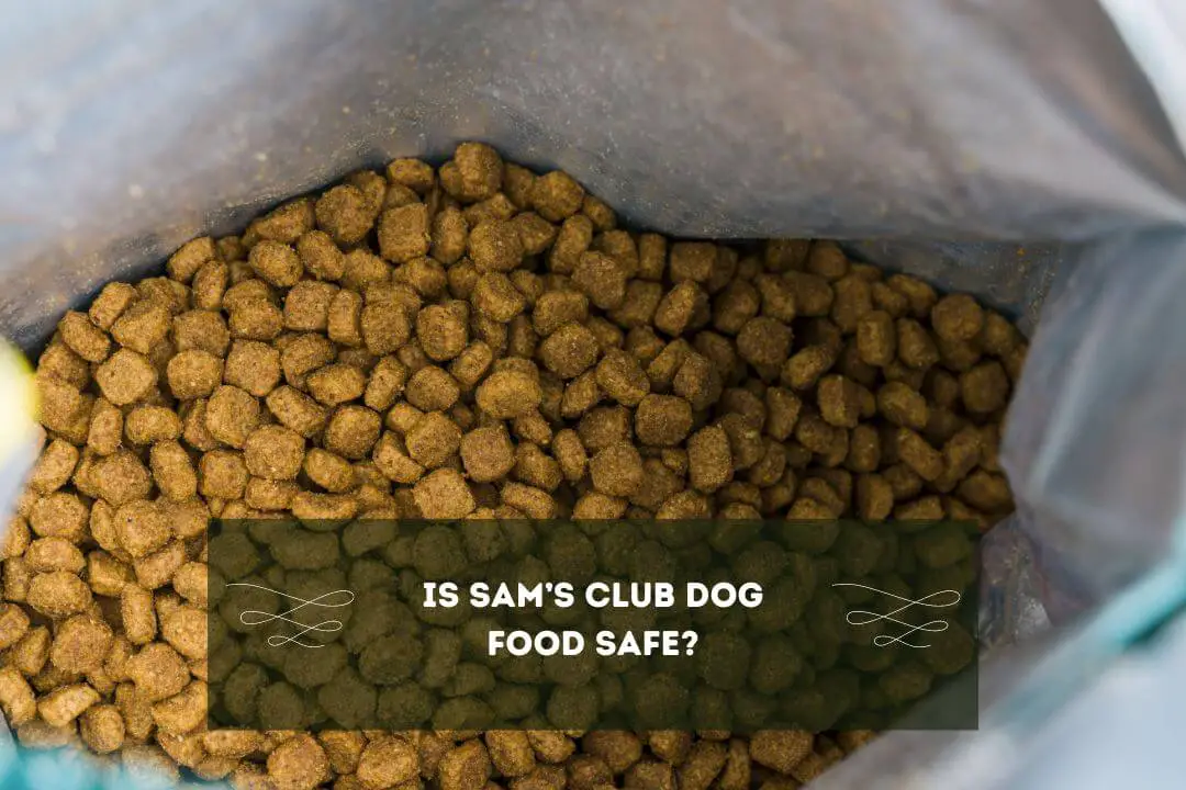Sams club dog food