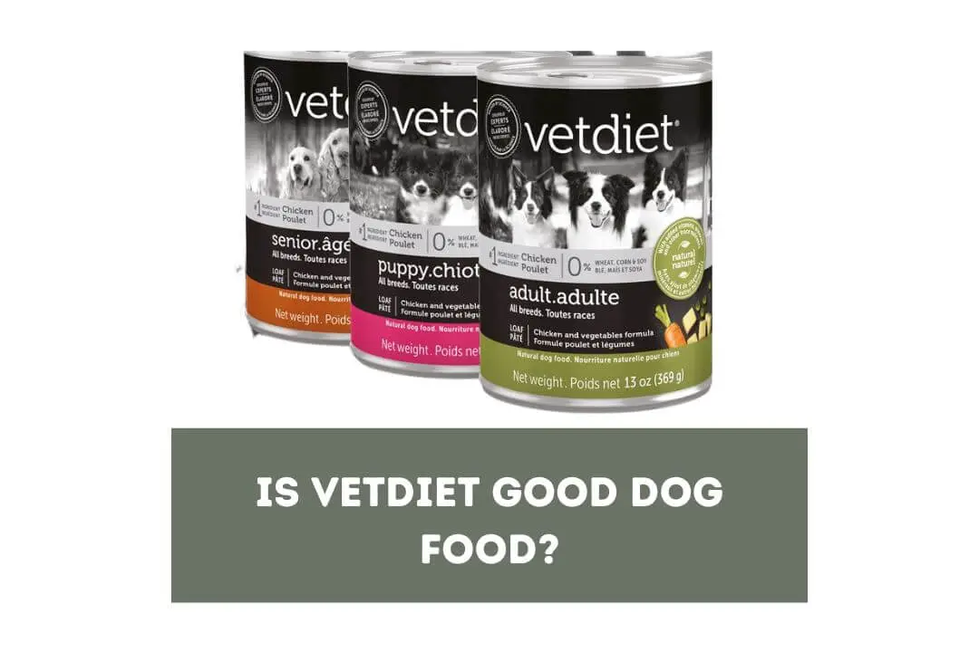All About Vetdiet Dog Food A Comprehensive Review