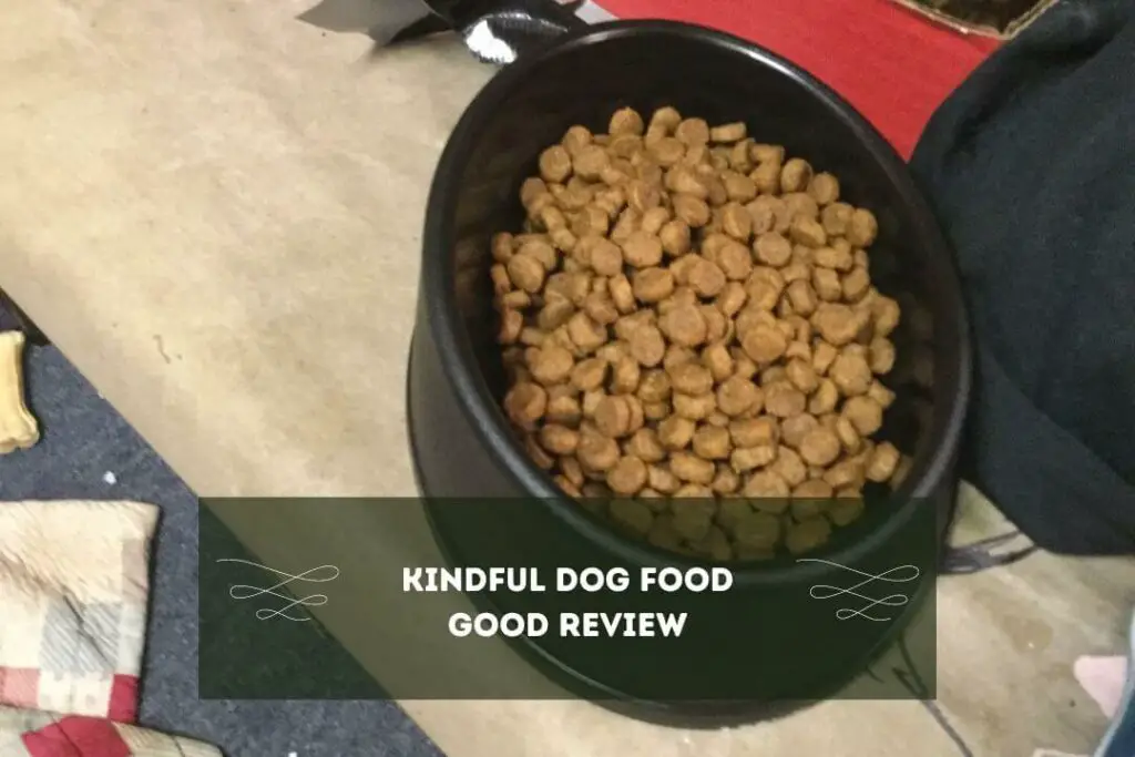 Kindful Dog Food Good Review 