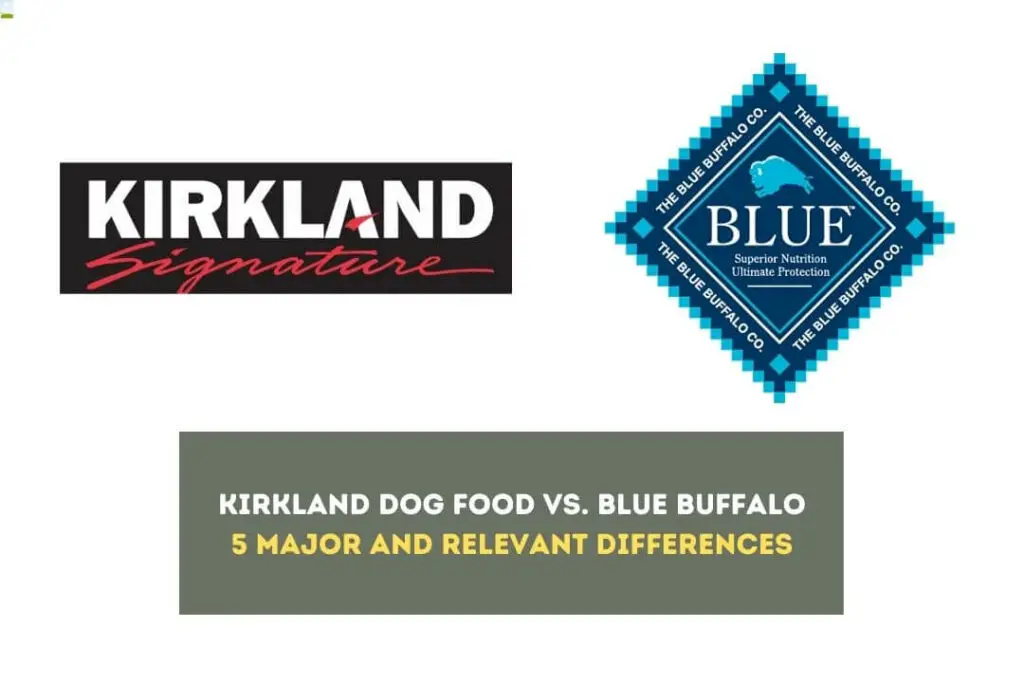 Kirkland Dog Food vs. Blue Buffalo: 5 Major and Relevant Differences