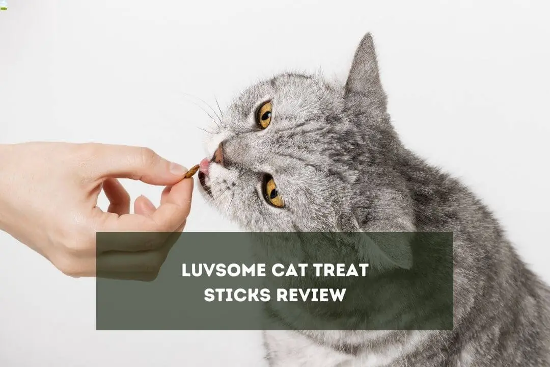 Luvsome Cat Treats Review Ingredients, Flavour & 3 Precautions Pet