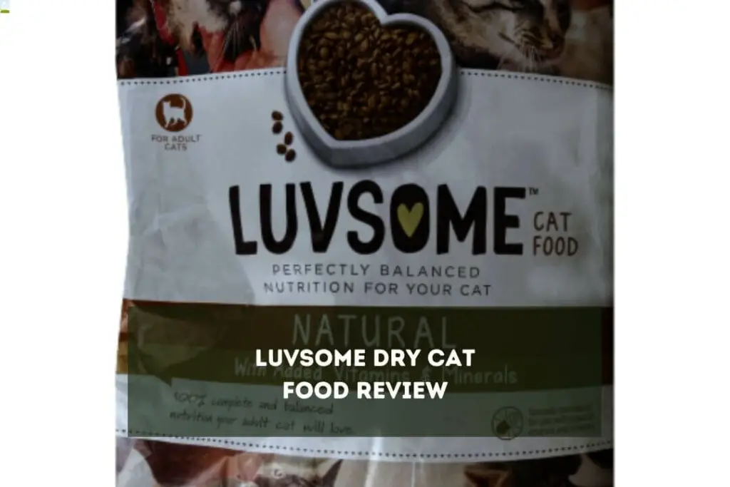 Luvsome Dry Cat Food Review