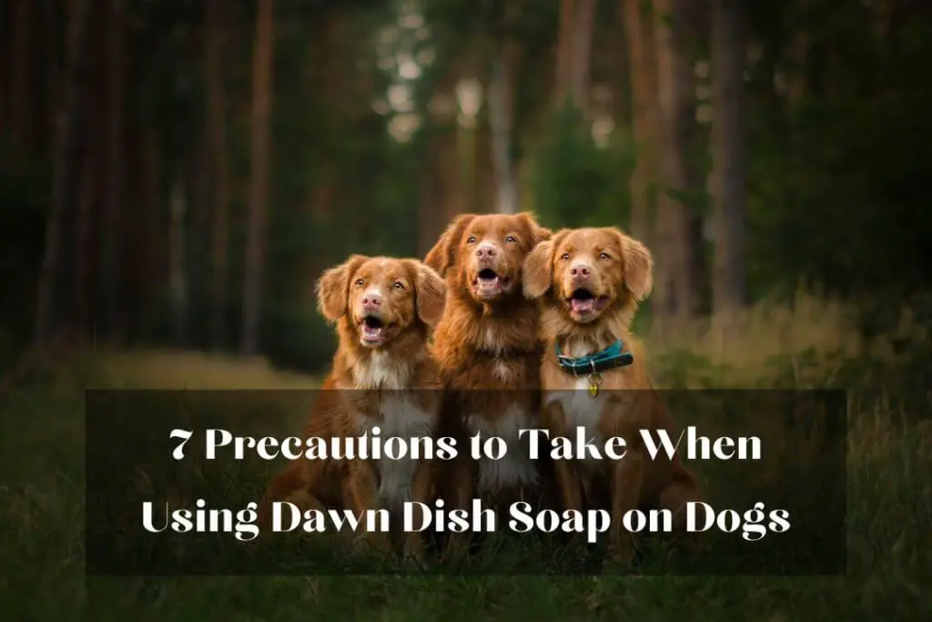 7 Precautions to Take When Using Dawn Dish Soap on Dogs